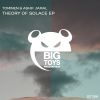 Download track Theory Of Solace