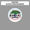 Download track Sliced Conciousness (Original Mix)