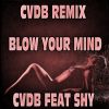 Download track Blow Your Mind (Cvdb Instrumental Remix)