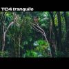 Download track Tranquilo