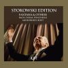 Download track Toccata & Fugue In D Minor, BWV 565 (Arr. L. Stokowski For Orchestra)