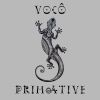 Download track Primative