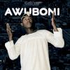 Download track Awuboni