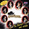 Download track Gritos De Esperanza