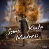 Download track Some Kinda Madness