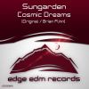 Download track Cosmic Dreams (Brian Flinn Remix)