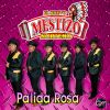 Download track Palida Rosa