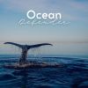 Download track Waves From The Pacific Ocean, Pt. 1