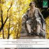 Download track Viola Sonata No. 2 In E-Flat Major, Op. 120 No. 2: IV. Allegro