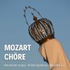 Download track Die Zauberflöte, K. 620, Act II O Isis Und Osiris (Priesterchor)