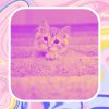 Download track Casual Music For Cozy Kittens