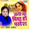 Download track Batawa Ae Piya