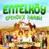 Download track Harmandalı Zeybeği (Konser)
