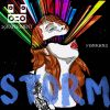 Download track Storm (Kranky Bubble Remix)