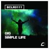 Download track Simple Life (Original Mix)