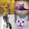 Download track Dreams - Relaxing Cats