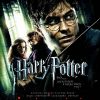 Download track Harry's Closet / Polyjuice Potion