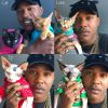 Download track The Cat Rapper