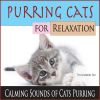 Download track Purring Cat Sound (With Room Tower Fan)