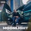 Download track MOONLIGHT (Enzo Radio Mix)