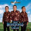 Download track El Ciego