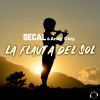 Download track La Flauta Del Sol (Extended Mix)