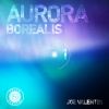 Download track Aurora Borealis (DJ Mix)