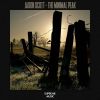 Download track The Minimal Peak