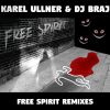 Download track Free Spirit (Savage Mix)