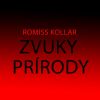 Download track Zvuky Prírody