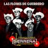 Download track 100% De Tierra Caliente