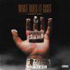 Download track What Does It Cost