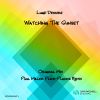 Download track Watching The Sunset (Paul Miller Plick Placks Remix)
