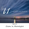 Download track Ocean In Moonlight (Extended Mix)