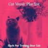 Download track Sunny Ambiance For Training Your Cat