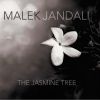 Download track The Jasmine Tree