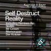 Download track Self Destruct Reality (Mr Crown Rage In Eden Remix)