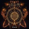 Download track Flower Of Life