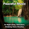 Download track Relaxing Music For Mindfulness