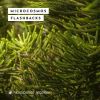 Download track Microcosmos Flashbacks (Continuous DJ Mix)