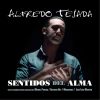 Download track Mis Cinco Sentidos (Tangos)