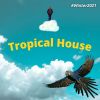 Download track I Remember The First Night Of Love (Tropical House)