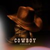 Download track Cowboy (Radio Edit)