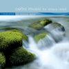 Download track Moon Pulses (The Rhythm Of Inner Balance)