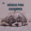 Download track Musica Para Acalmar Cachorro