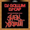 Download track Sheik Yerbouti 2020 (Extended Mix)