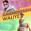 Download track Chandigarh Waliye