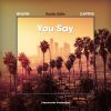 Download track You Say (Radio Edit)