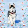 Download track Easy Calming Pups