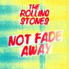 Download track Not Fade Away (Mono)